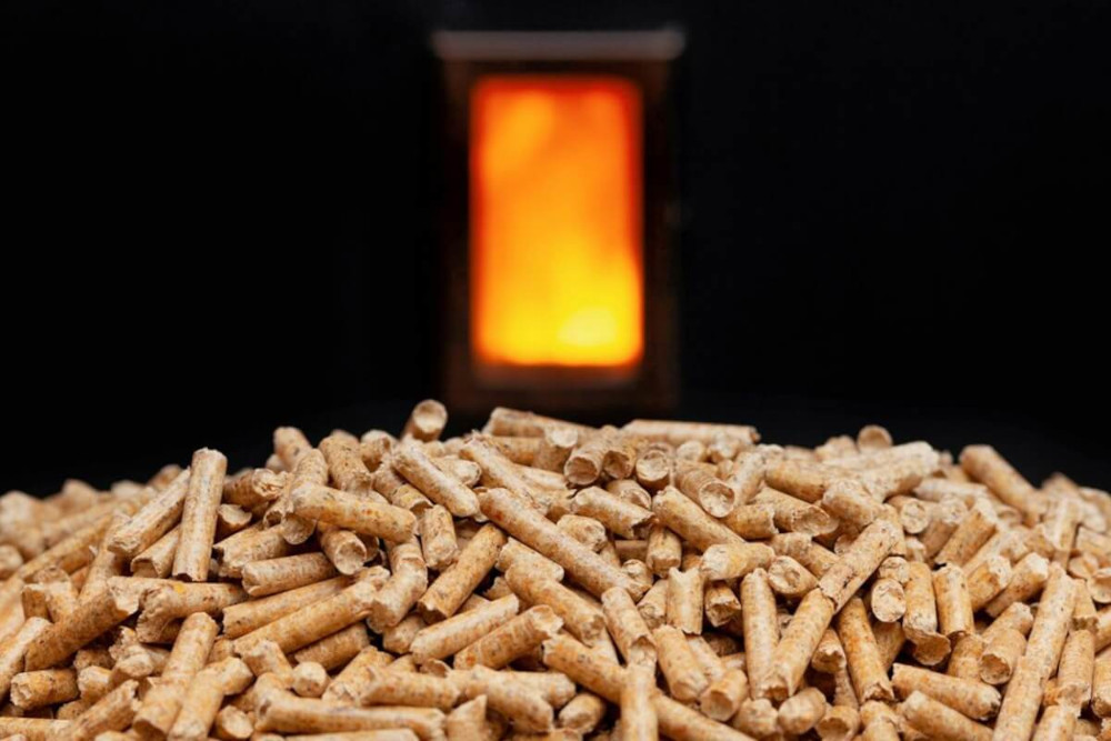 Pellet Shop Asola